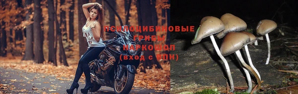 кокаин перу Инта